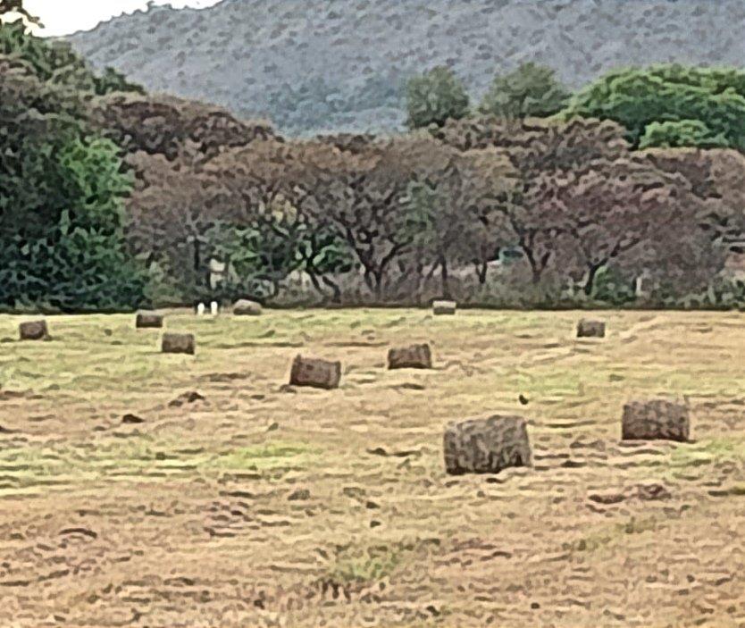 3 Bedroom Property for Sale in Rustenburg Rural North West